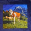 Bleu marin - Vache