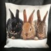 3 lapins